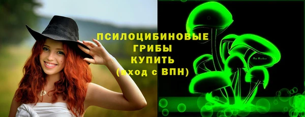 тгк Медногорск