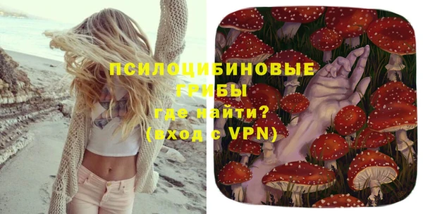 прущая мука Медвежьегорск