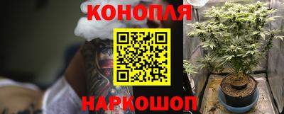 эйфоретик Гусев